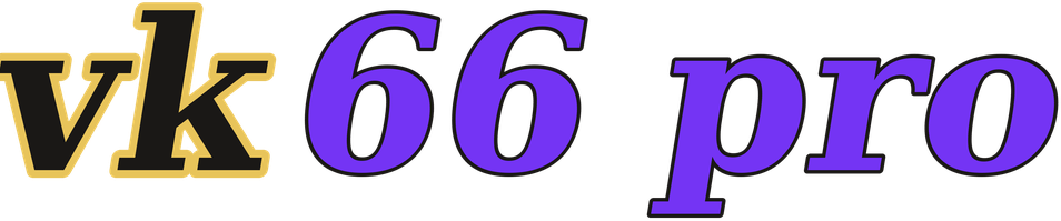 vk66 pro logo